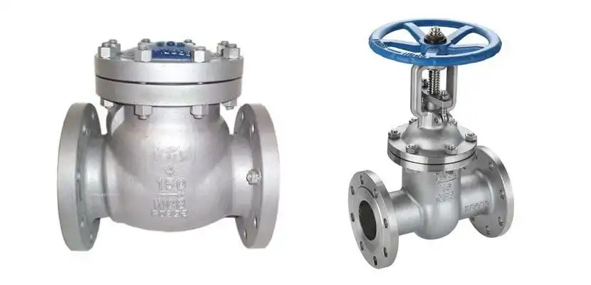 check valve and gate valve