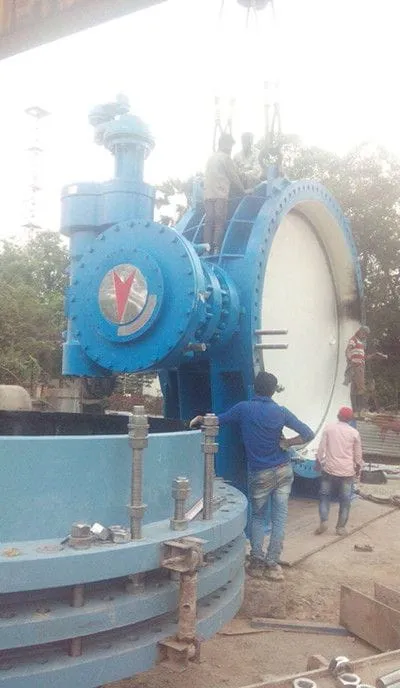 DN3750 Butterfly Valves Successfully Installed in India