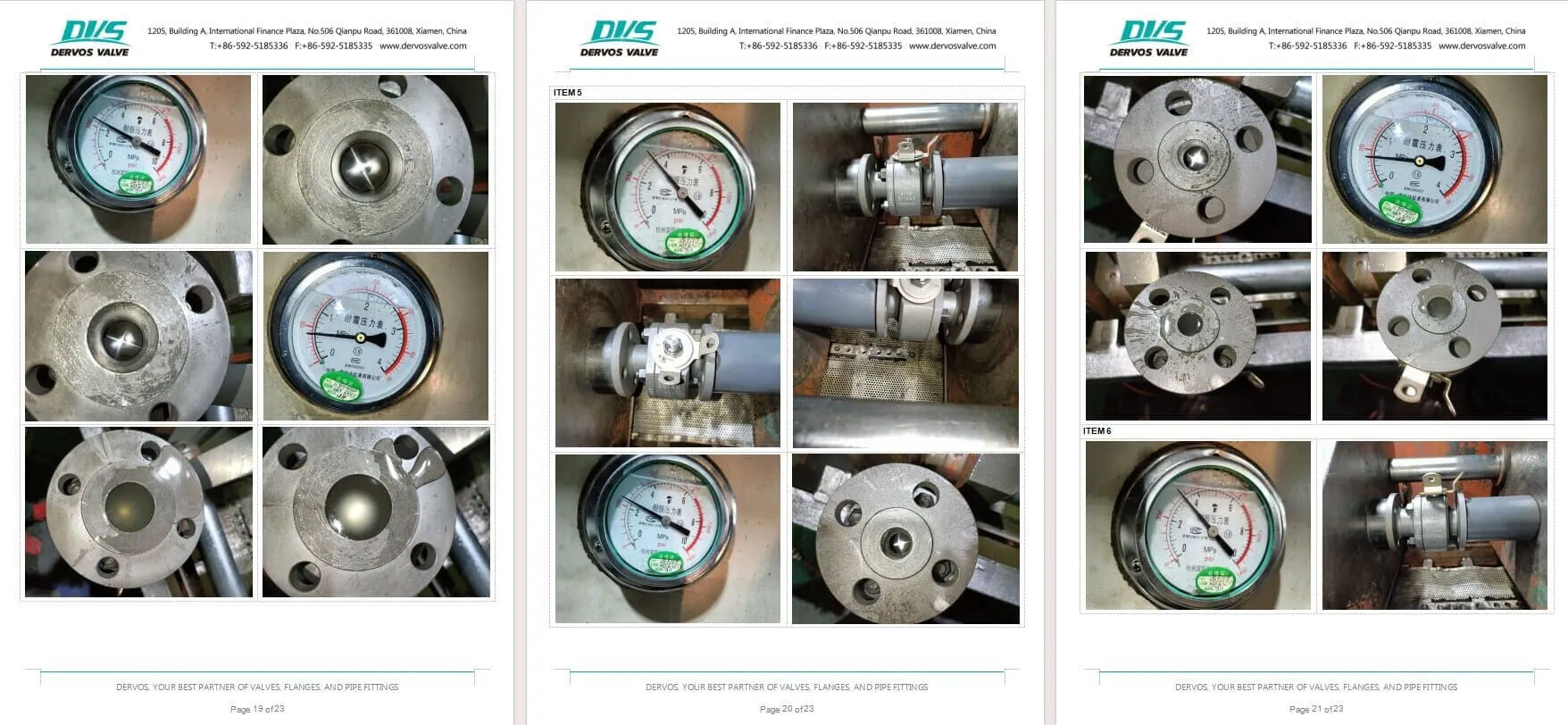 Inspection Report for Floating Ball Valve