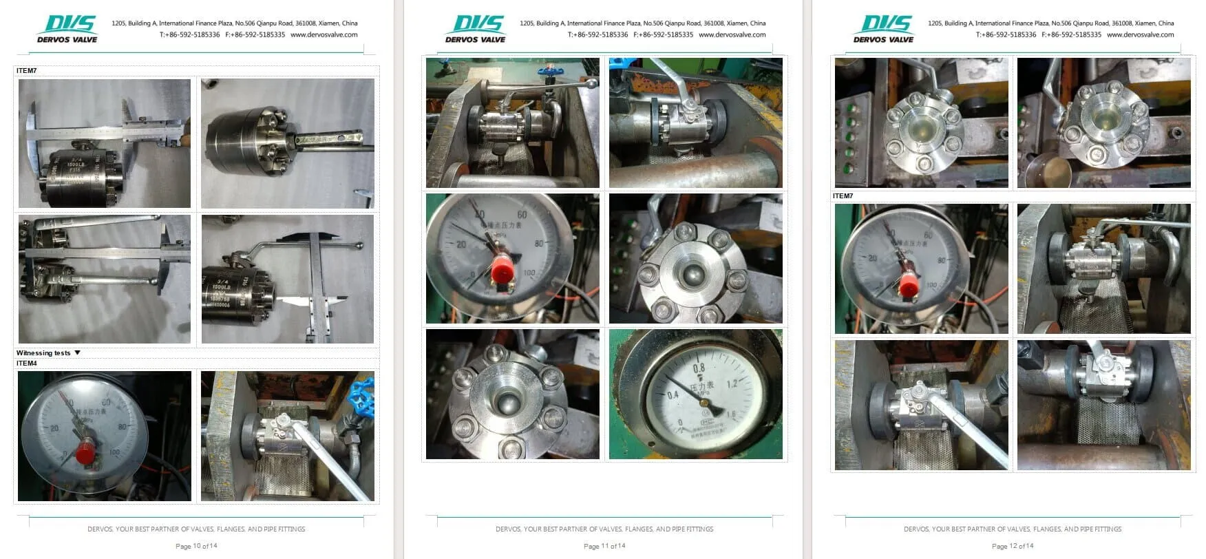 Inspection Report for Ball Valve