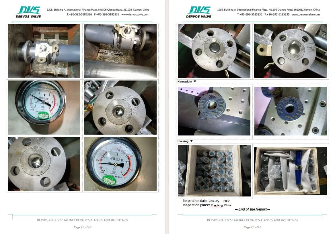 Inspection Report for Floating Ball Valve