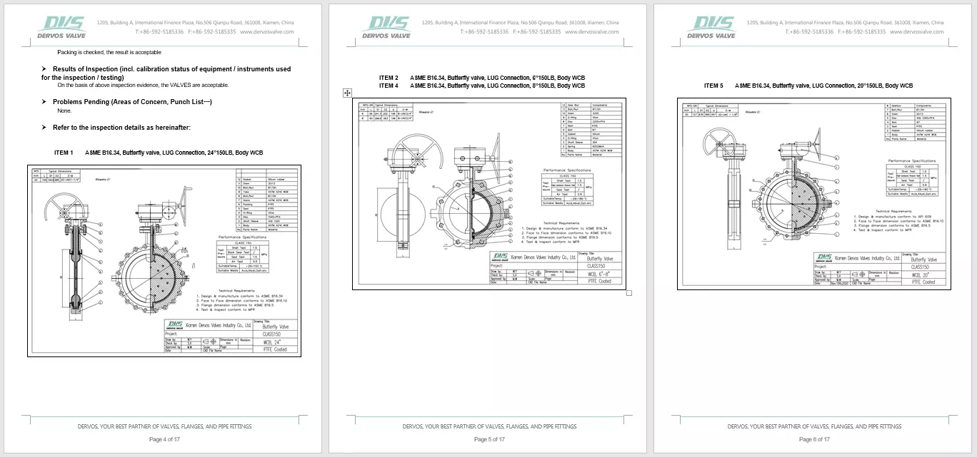 Fluorine Lined Ball Valve Inspection Report 