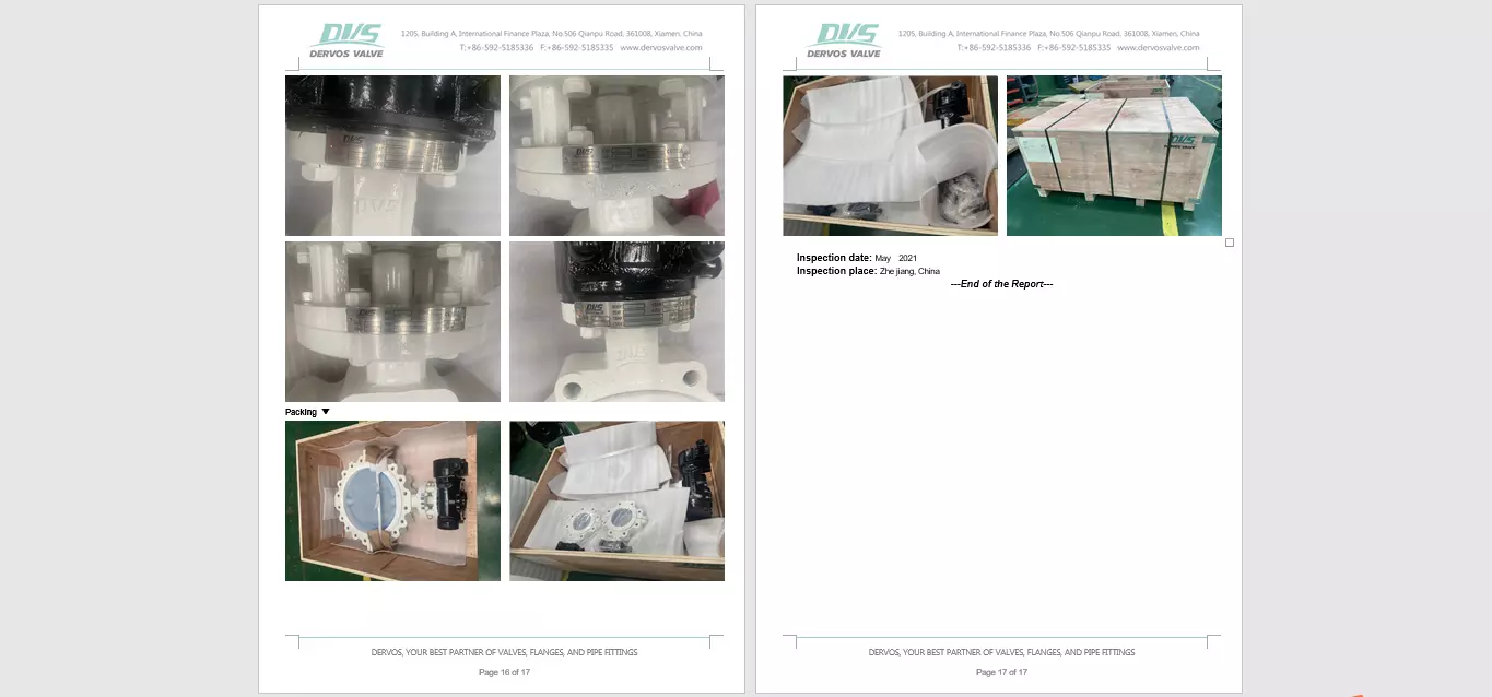 Fluorine Lined Ball Valve Inspection Report 