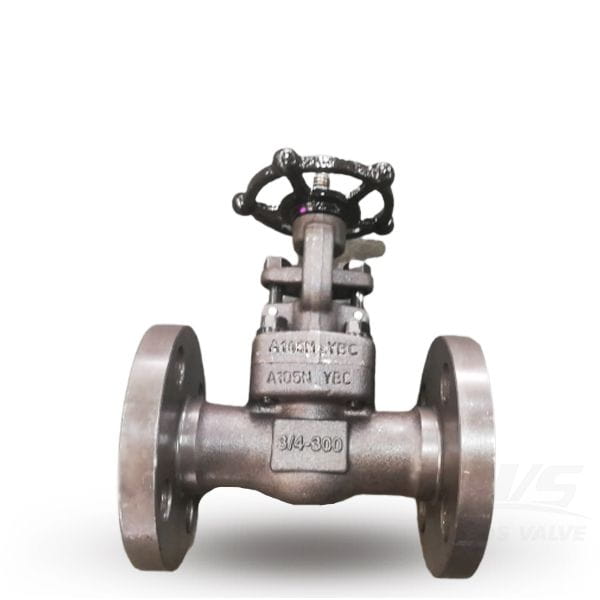 3/4 Inch 300 LB Forging Gate Valve, ASTM A105N, API 602