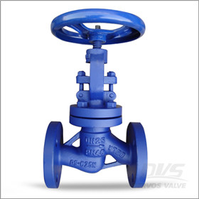 GS-C25 Globe Valve, 1 Inch, PN40, Flanged