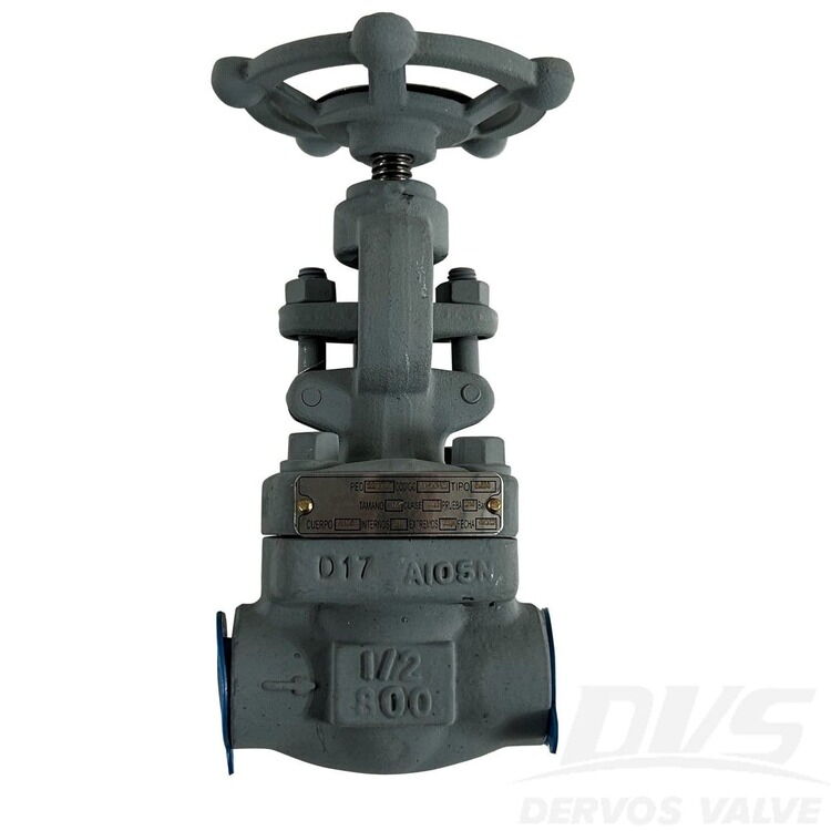 Forged Steel Globe Valve, API 602, 1/2 IN, CL 800 LB, A105N