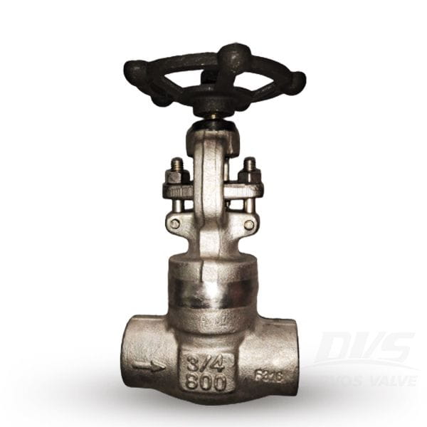 API 602 Globe Valve, ASTM A182 F316, 3/4 Inch, 800 LB, SW