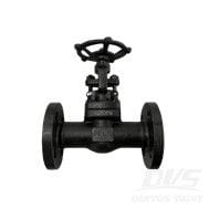 ASTM A105N Globe Valve, SS 304, 1 Inch, 300 LB, API 602, RF