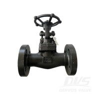 ASTM A105N Gate Valve, DN25, PN100, 1 Inch, 600 LB, API 602