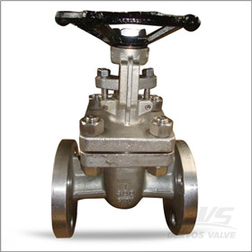 CN7M Gate Valve, 1 Inch, CL300, Flanged