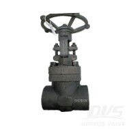 ASTM A105N Rising Stem Gate Valve, 2 Inch, 800 LB, API 602