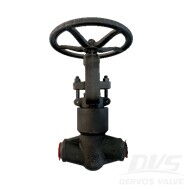 ASME B16.34 Forged Steel Globe Valve, 2 Inch, CL2500, A105N