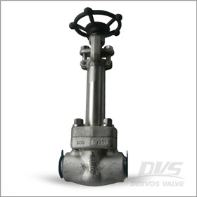 Extend Bonnet Gate Valve, DN25, PN160, SW, F304