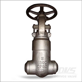 CF8C Gate Valve, Threaded Bonnet, 3 Inch, BW