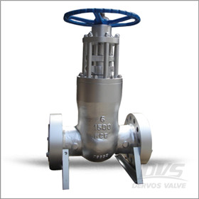 PSB Gate Valve, 6 Inch, 1500LB, RF