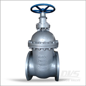 Non Rising Stem Gate Valve, DN400, PN25, WCB