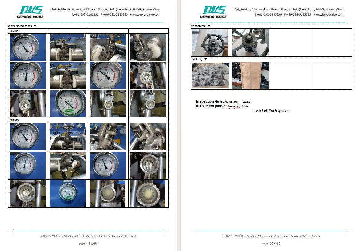 Inspection Report for Gate Valve