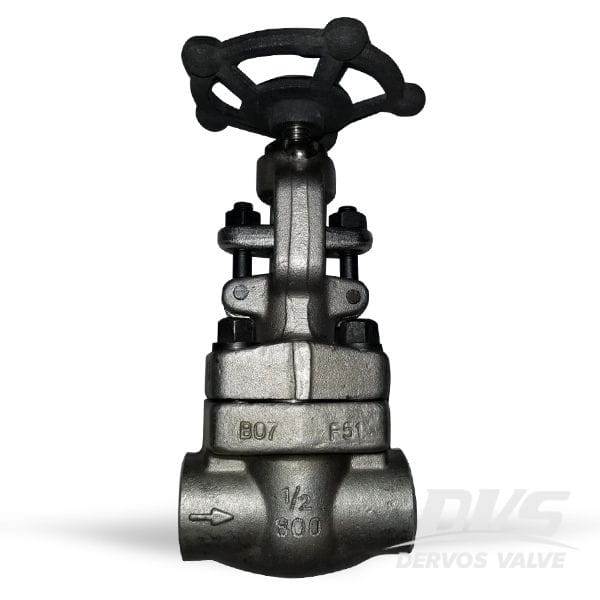 Forged ASTM A182 F51 Globe Valve, 1/2 Inch, 800 LB, API 602, SW