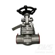 ASTM A182 F304L Gate Valve, 3/4 Inch, 800 LB, API 602