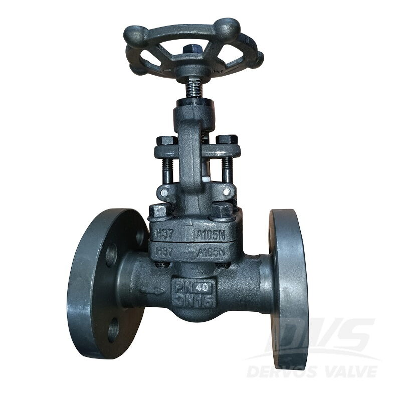 Forged Steel Globe Valve, API 602, ASTM A105N, DN15, PN40