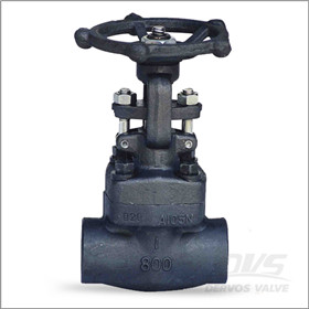 API 598 Gate Valve, 1 Inch, 800LB, NPT