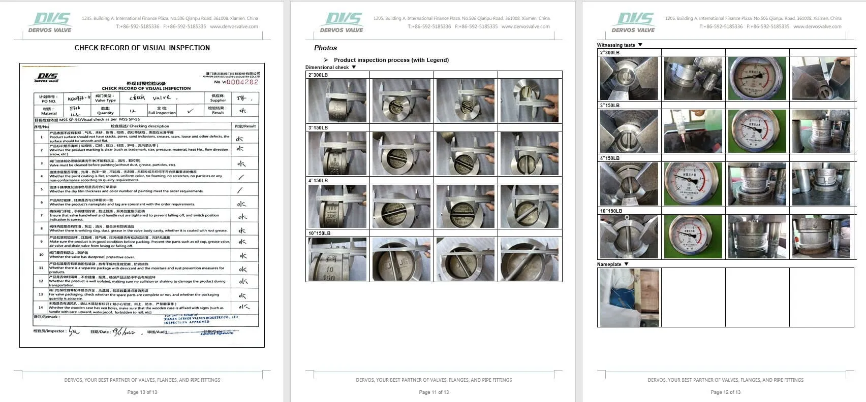 Inspection Report for Wafer Check Valve