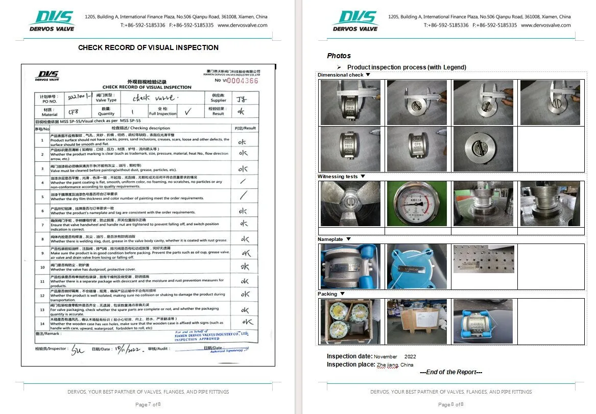 Inspection Report for Wafer Check Valve