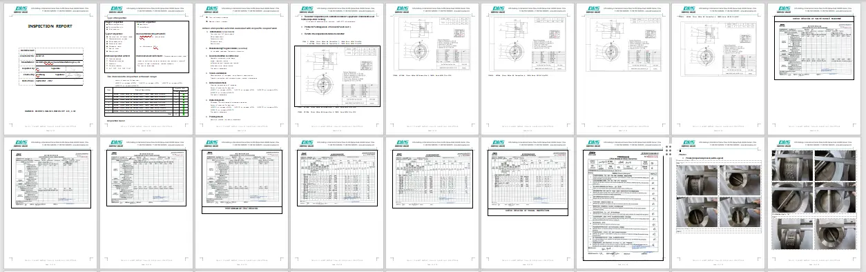 Inspection report-1