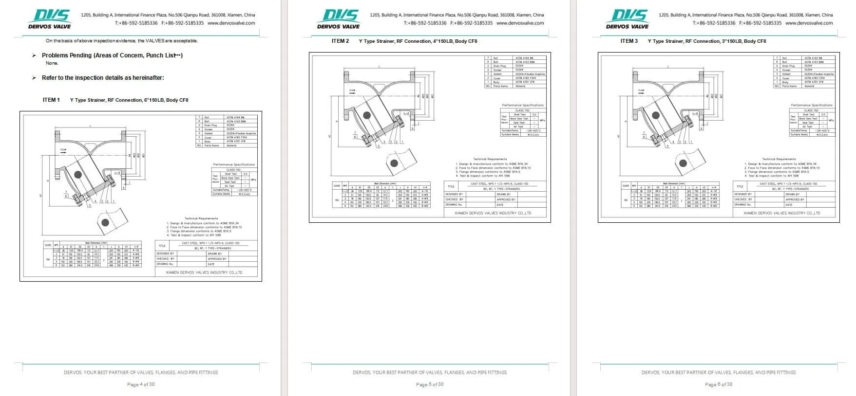 Inspection Report for Y Strainer