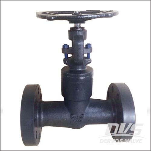 Integral Flanged Globe Valve - Welded Bonnet - 1500LB