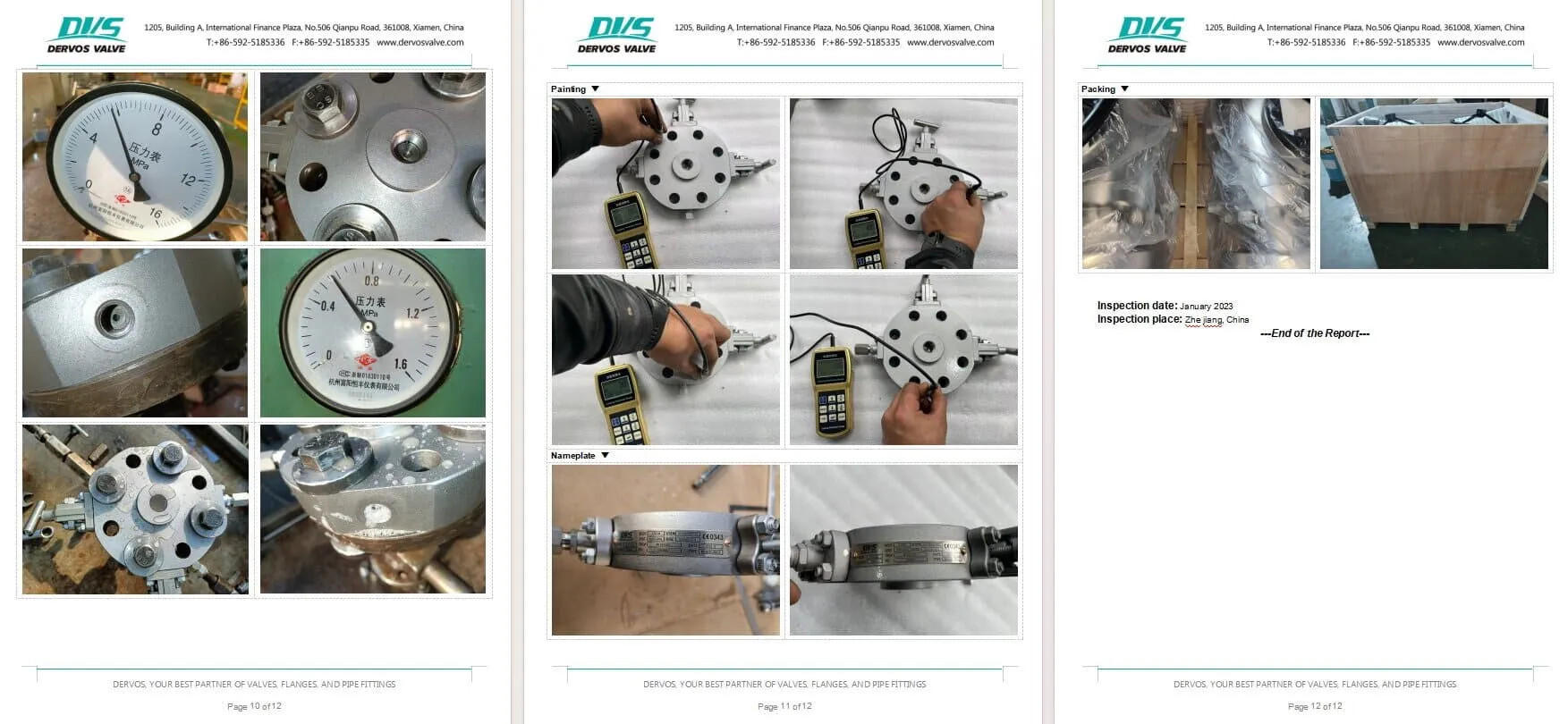 Inspection Report for Slimline Monoflange