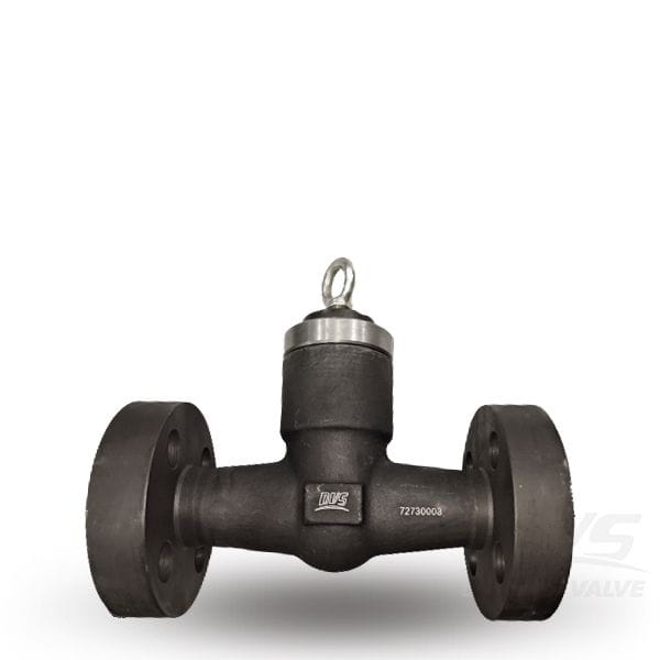 Pressure Seal Lift Check Valve, 1 IN, 2500 LB, API 602