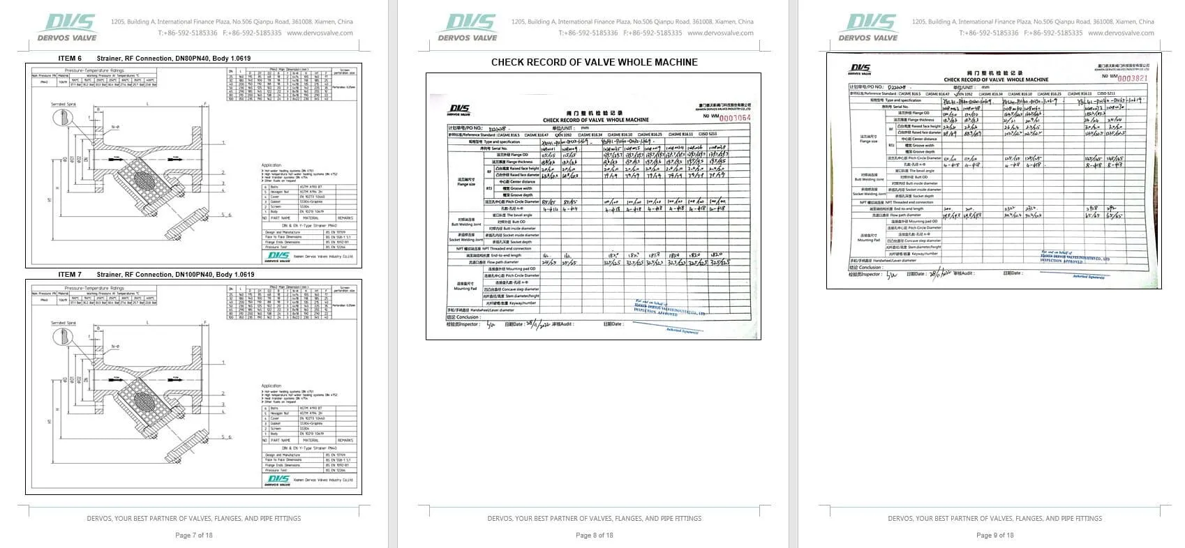 Inspection Report for Y Strainer