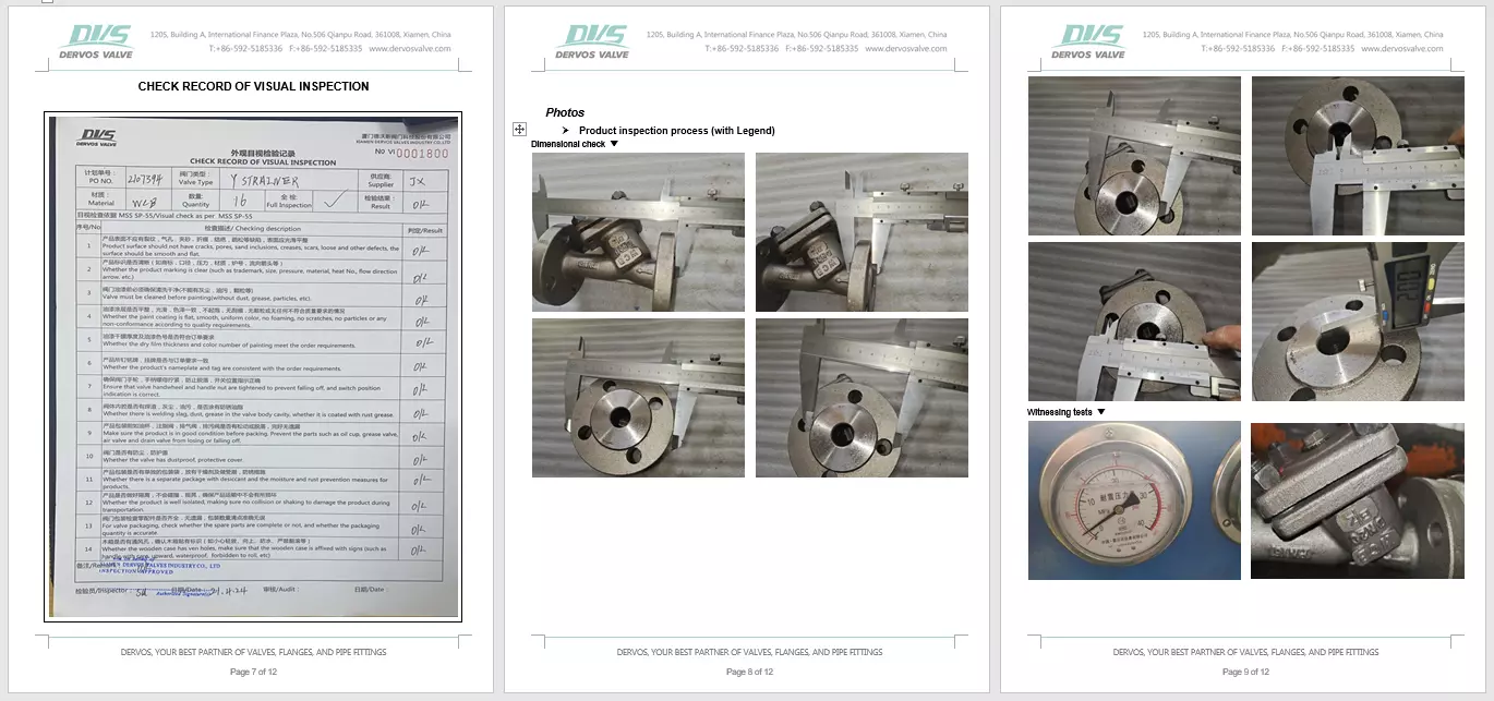 WCB Strainer Inspection Report