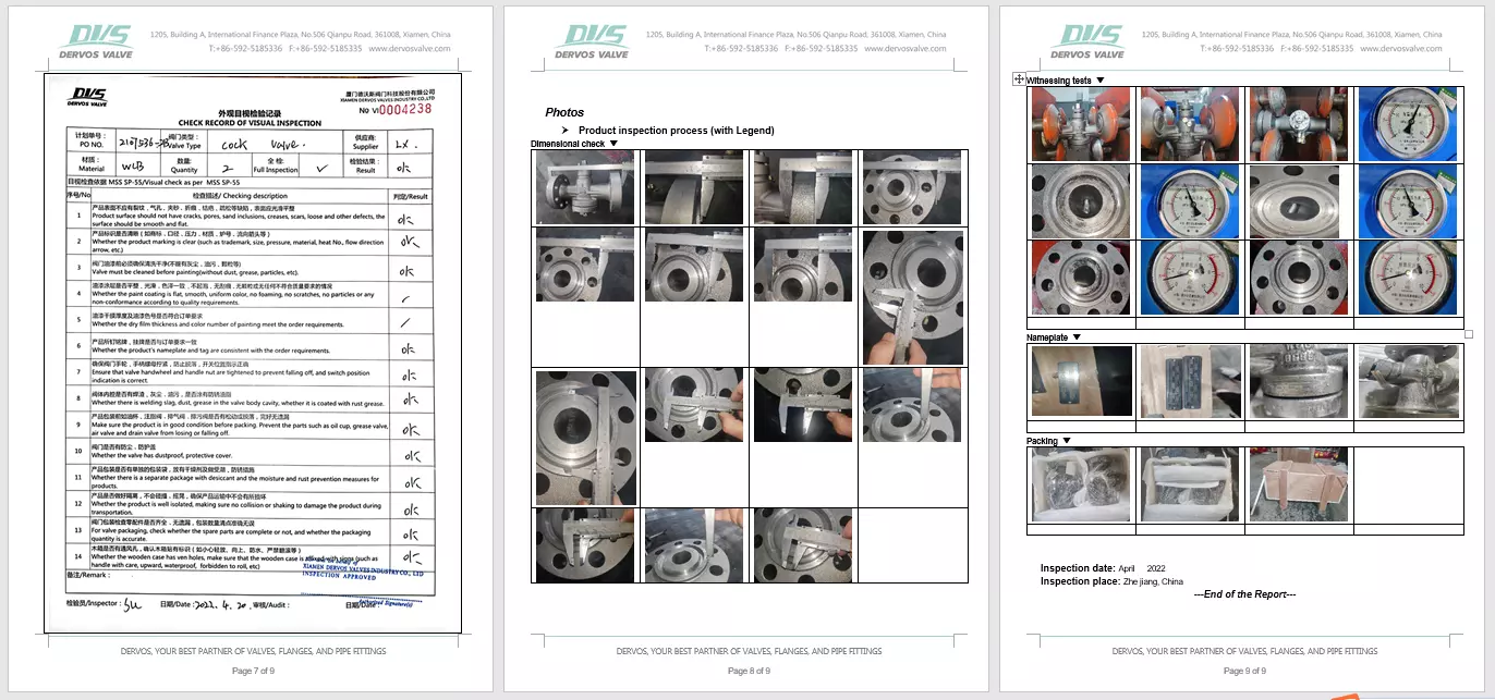 Inspection Report Three