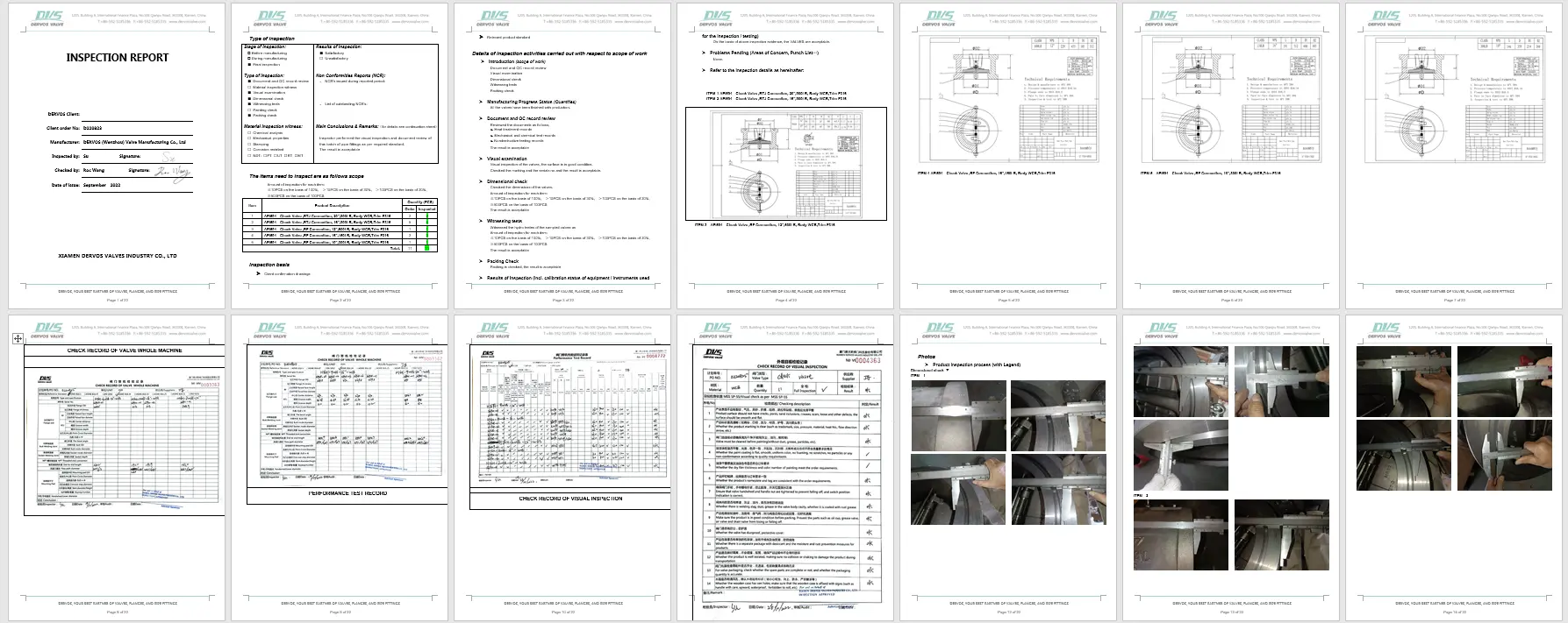 Inspection report