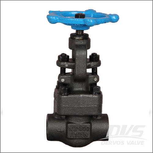 Globe Valve1