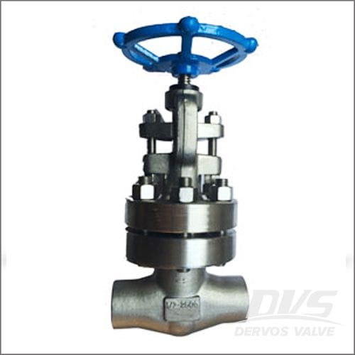 Bolted Bonnet 2500LB Globe Valve