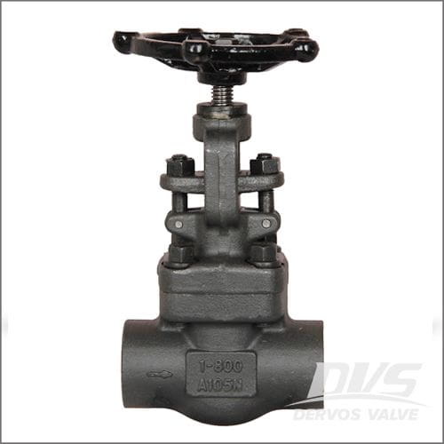 Globe Valve