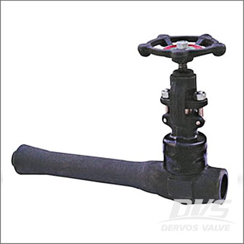 Integral Extended Globe Valve