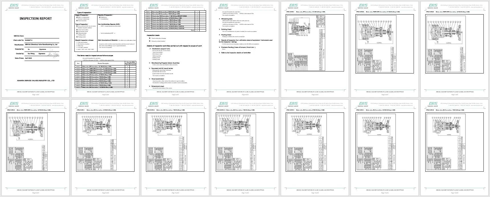 Inspection report