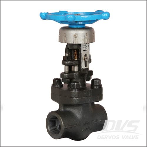 Globe Valve2