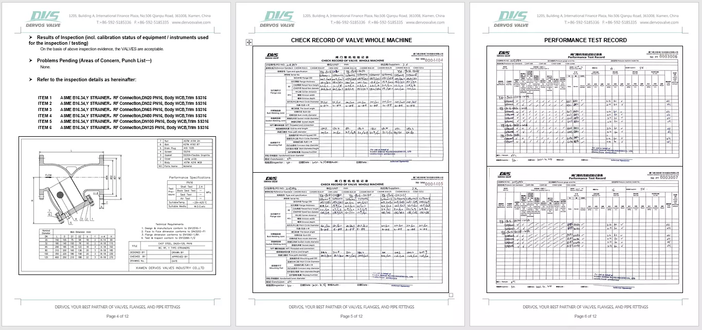 Y Type Strainer Inspection Report