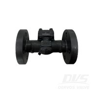 BS 5352 Lift Check Valve, DN25, PN100, A105N, SS 304