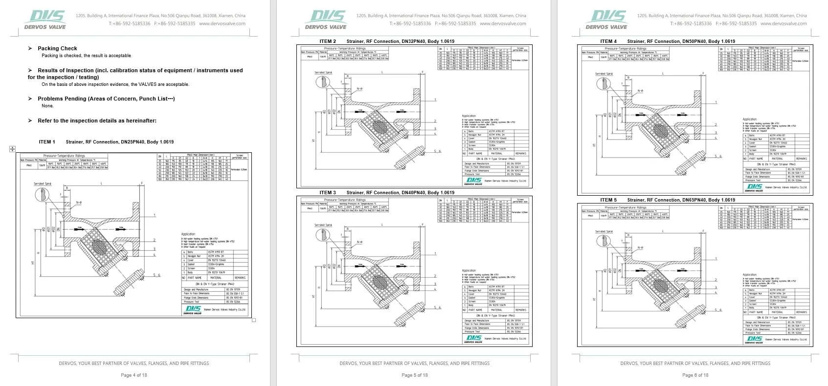 Inspection Report for Y Strainer