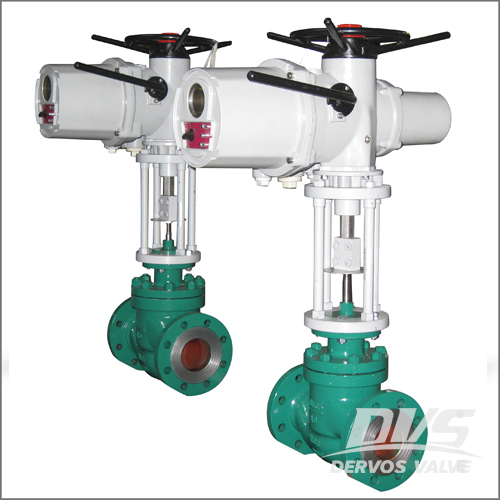 DIN 3356 Control Valve, WCB, DN65, PN40, RF End, Electric Actuator