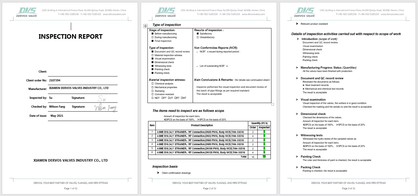 Cast Steel Y Strainer Inspection Report