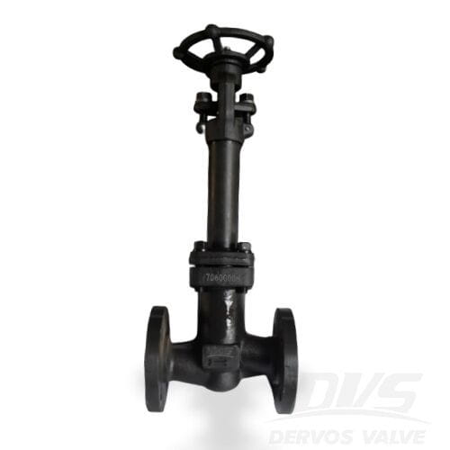 Forged ASTM A182 F316 Globe Valve, DN25, PN40, BS 5352