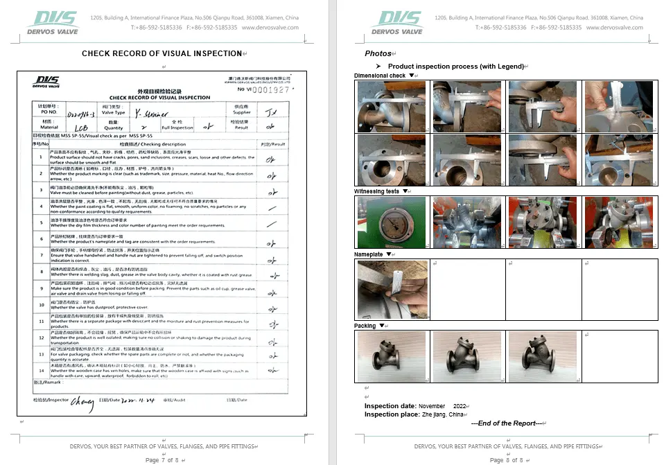 Inspection Report