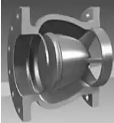 The structure of a nozzle check valve